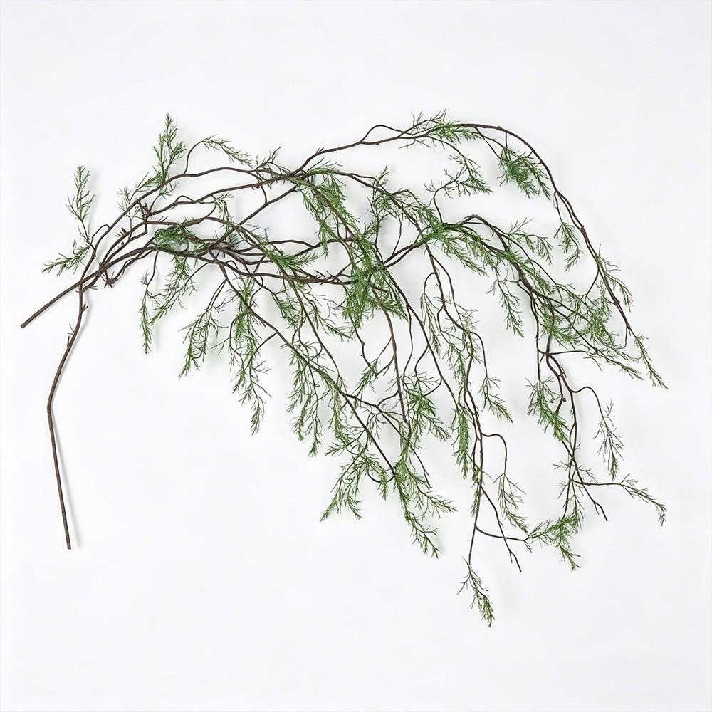 Simulation of Moss Faucet Tree - Sphagnum Moss Dry review and price