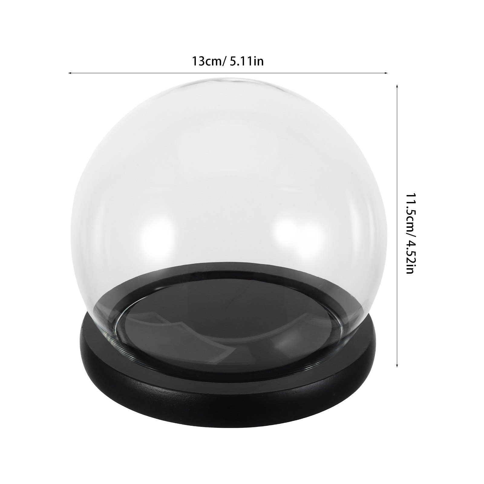 Glass Cloche Dome with Solid W - Plastic Dome Clear review and price