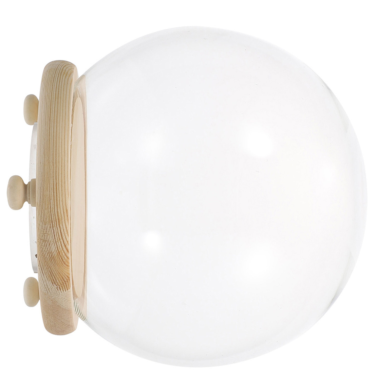 Preserved Flower Glass Dome Cl - Plastic Dome Clear review and price